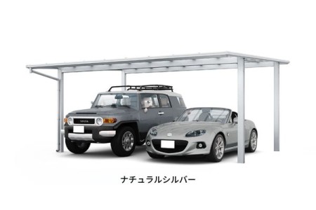 ナチュラルシルバー 