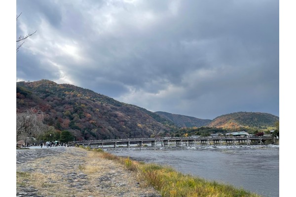 ＜京都通信＞紅葉狩りに行ってきました！