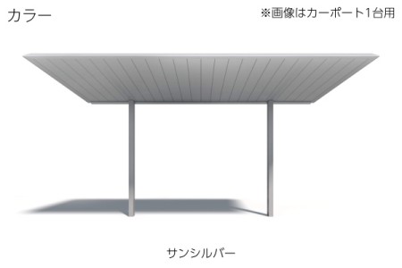 サンシルバー 