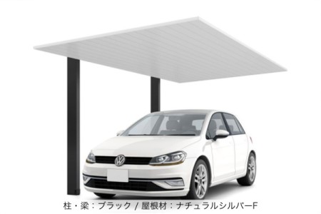 ブラック（柱・梁）＋ナチュラルシルバーF（屋根） 
