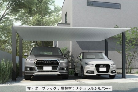 ブラック（柱・梁）＋ナチュラルシルバーF（屋根） 