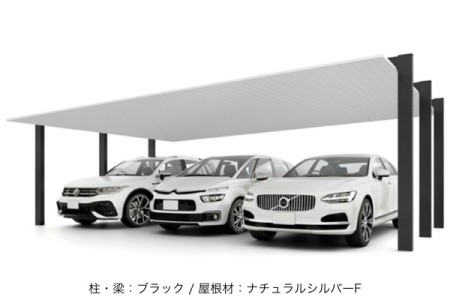 ブラック（柱・梁）＋ナチュラルシルバーF（屋根） 