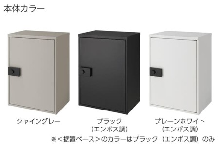 本体カラー