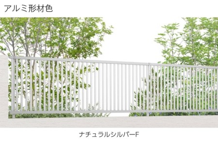 ナチュラルシルバーF 