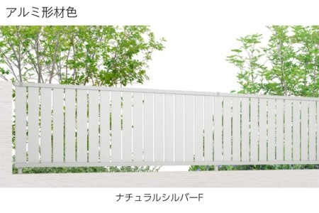 ナチュラルシルバーF 
