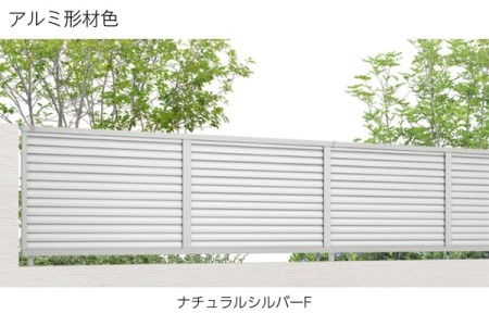 ナチュラルシルバーF 