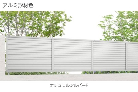 ナチュラルシルバーF 