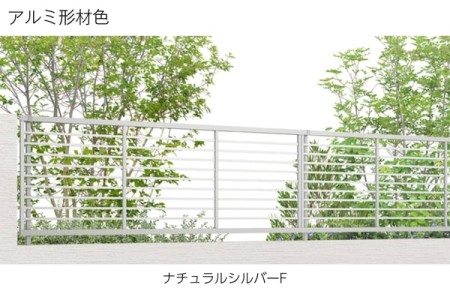 ナチュラルシルバーF 
