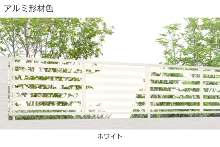 ホワイト 
