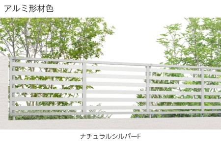 ナチュラルシルバーF 