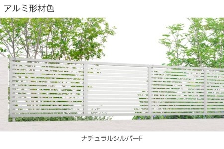 ナチュラルシルバーF 