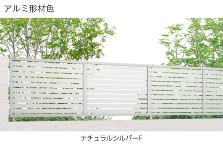 ナチュラルシルバーF 