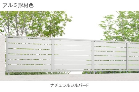 ナチュラルシルバーF 