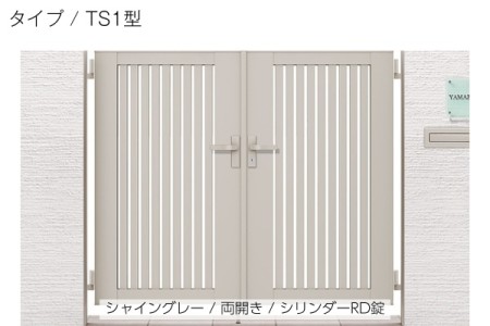 TS1型 