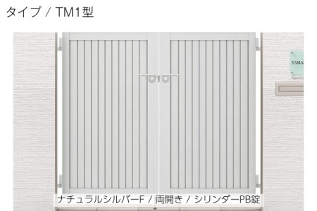 TM1型 
