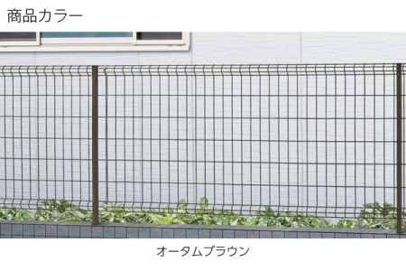 オータムブラウン 