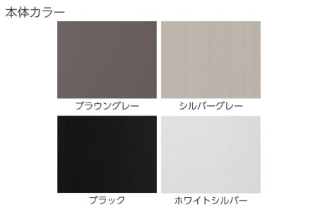 本体カラー