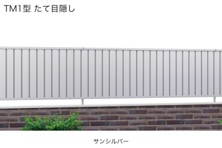 TM1型 