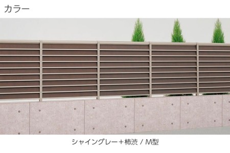 柿渋（M型） 