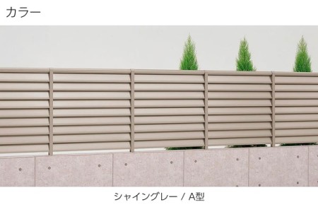 シャイングレー（A型） 