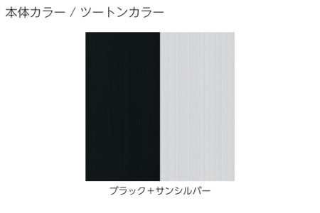 ツートン<br>(柱梁部：ブラック・屋根枠：サンシルバー） 