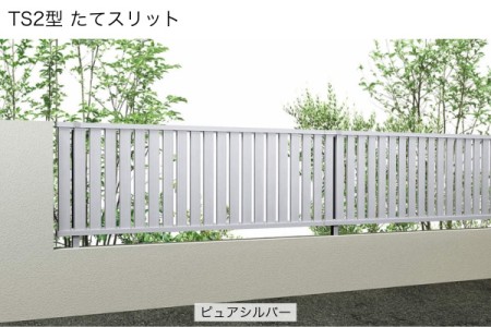 TS2型 