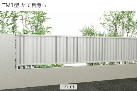 TM1型 