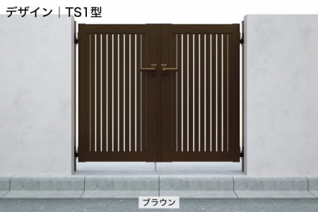 TS1型 