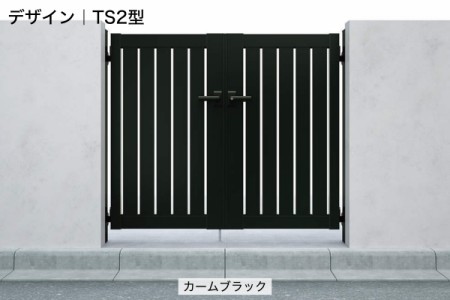 TS2型 
