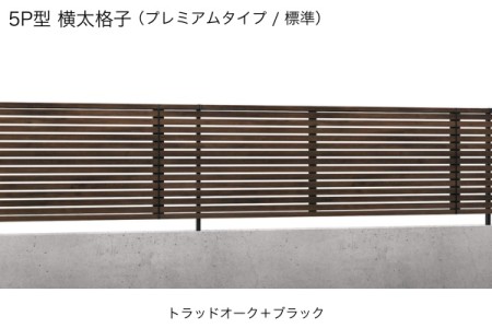 5P型（プレミアムタイプ） 