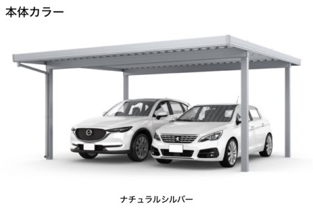 ナチュラルシルバー 