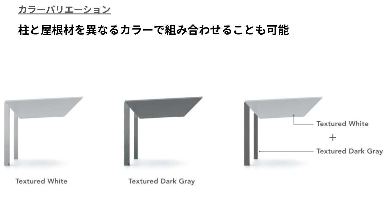 SC新色サイズ2