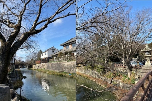 八幡堀2