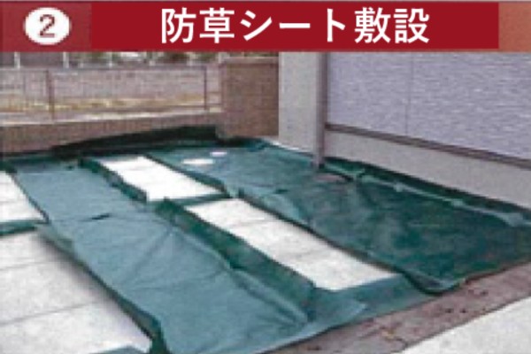 STEP2