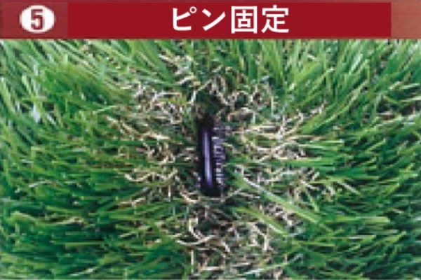 STEP5