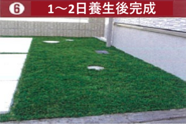 STEP6
