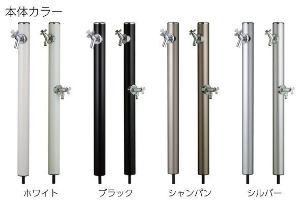 本体カラー