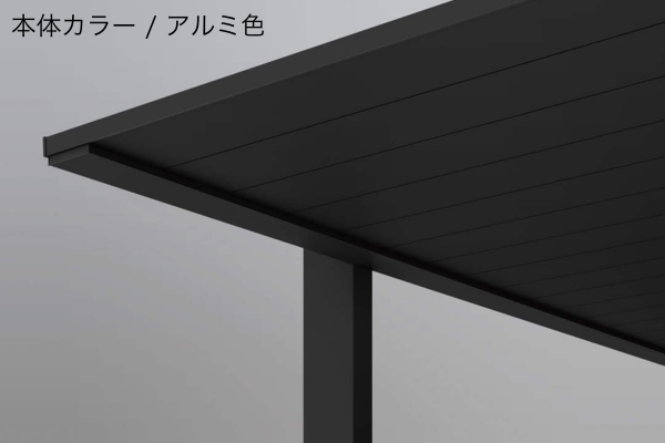 カラー